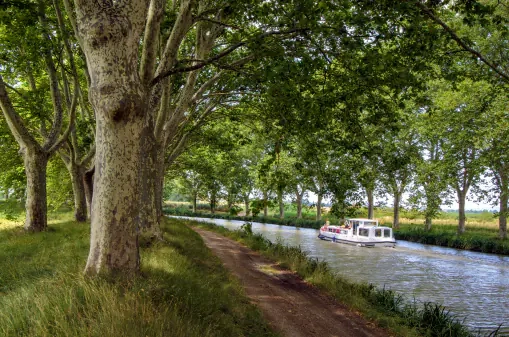 Le Canal du midi